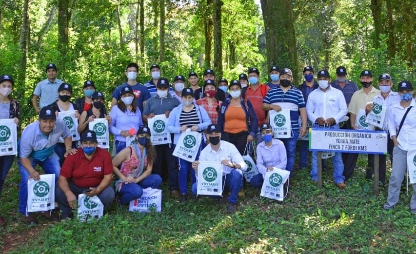 Yerba Mate Sostenible, compromiso ambiental y social